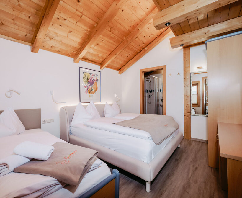 Penthouse Flachau Gappmaier 14